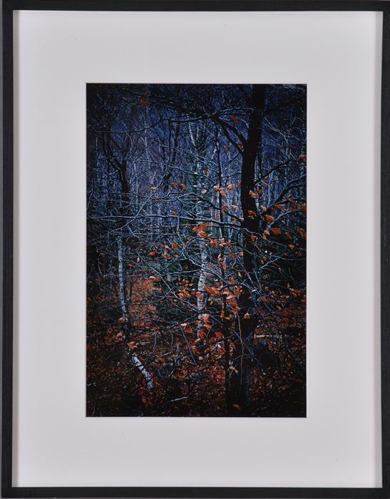 PAUL CAPONIGRO (b. 1932): REDDING