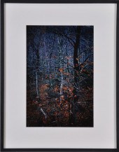 PAUL CAPONIGRO (b. 1932): REDD