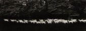 PAUL CAPONIGRO "RUNNING WHITE