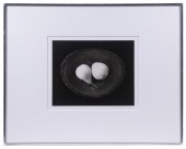 PAUL CAPONIGRO (US, 1932- ) "T