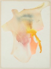 PAUL JENKINS, PHENOMENA OUTLAN