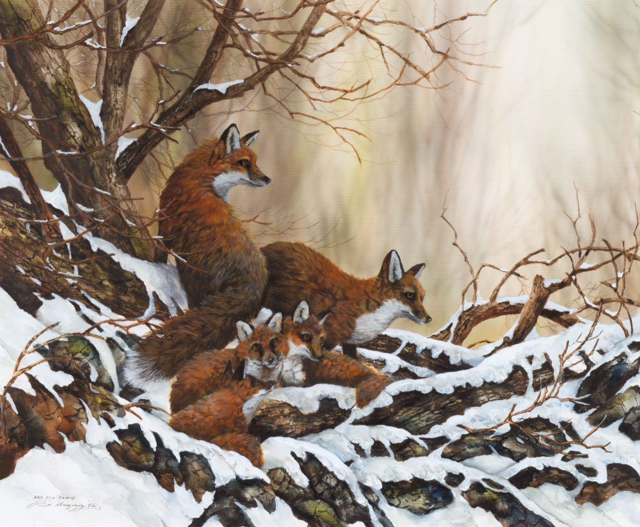 PAUL MARGOCSY (1945-), RED FOX