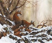 PAUL MARGOCSY (1945-), RED FOX
