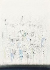 PAUL MAXWELL (AMERICAN/TEXAS 1