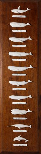 PAUL MORRIS CARVED WHALE IVORY