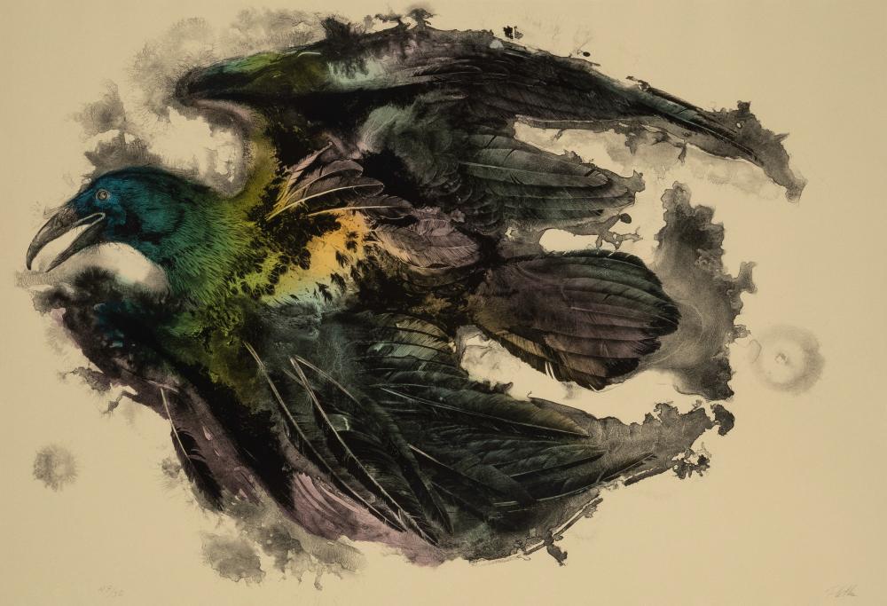 PAUL PLETKA, RAVEN, 1979Paul