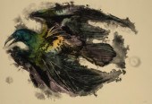 PAUL PLETKA, RAVEN, 1979Paul P