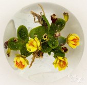 PAUL STANKARD ART GLASS PAPERW