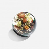 Paul Stankard. Botanical orb.