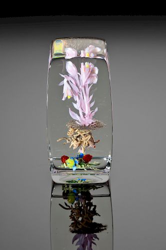 PAUL STANKARD, INDIAN PIPE
