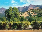 PAUL YOUNGMAN, CALISTOGA SUMME