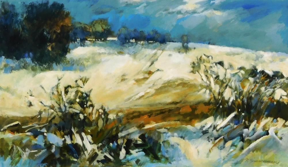 PAUL ZIMMERMAN (CONNECTICUT,