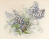 Pauline Girardin (1818-* Frenc