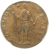 PCGS CERTIFIED ABOUT UNC-55 17