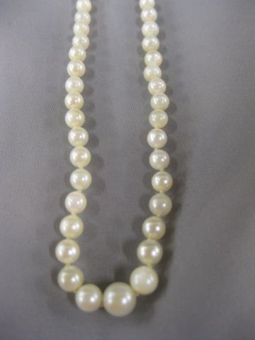 Pearl Necklace graduated 3 to 6 1/2
