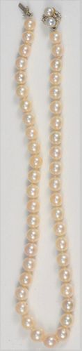 PEARL SINGLE STRING NECKLACE