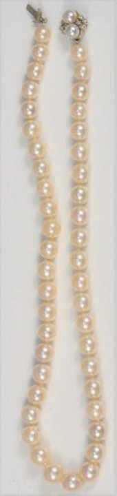 PEARL SINGLE STRING NECKLACE G
