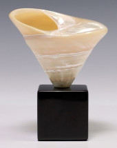 PEARLY TOP SEASHELL SPECIMEN O