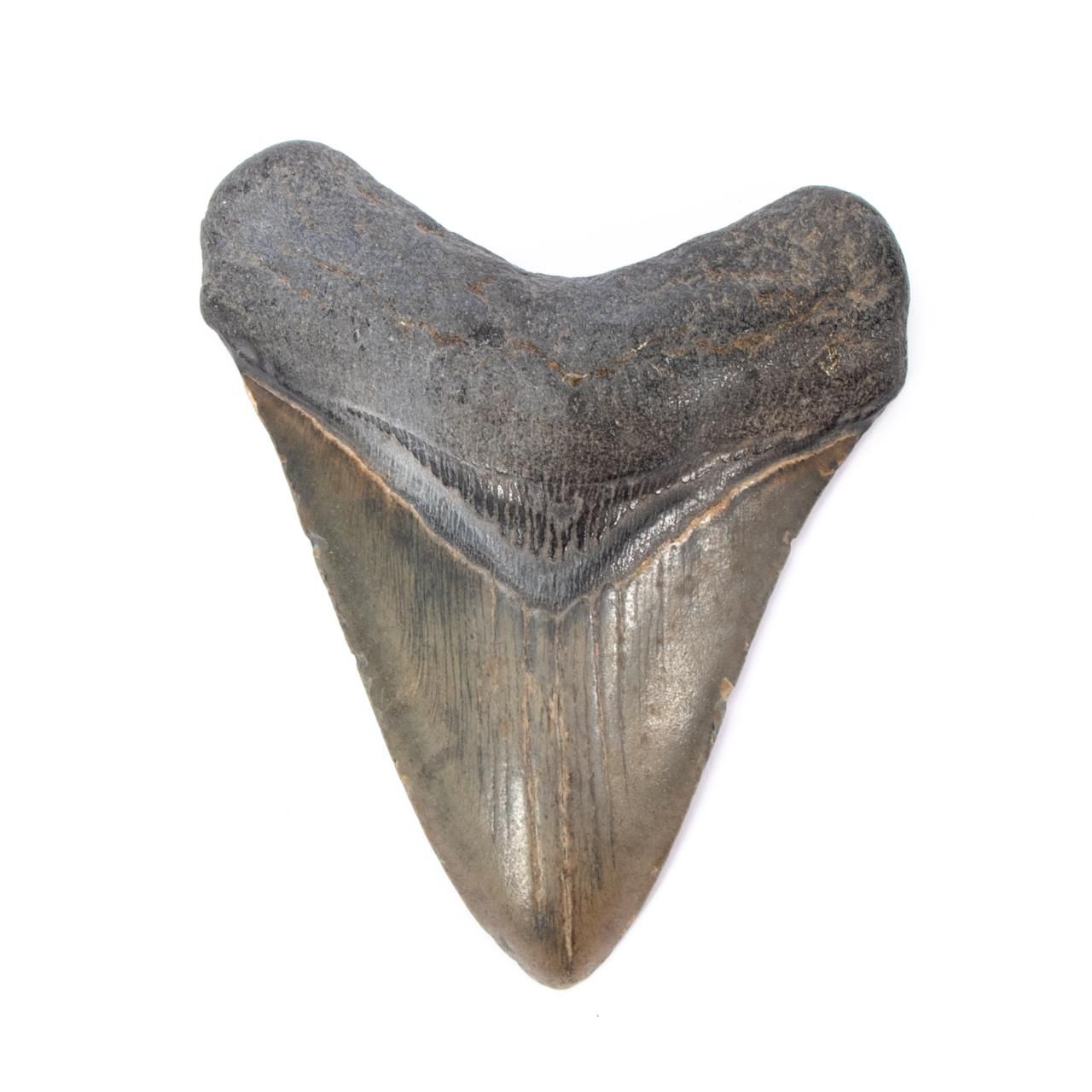 PEARSALL HIGH BACK SWIVEL