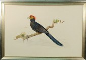 Peirce John R. [American/Penns