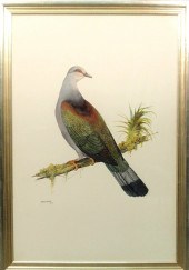 Peirce John R. [American/Penns
