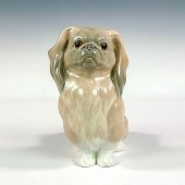 PEKINESE SITTING 1004641 - LLA