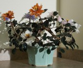 PEKING GLASS FLOWERING BRANCH,
