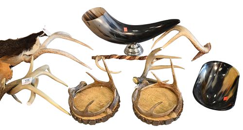 PELT AND ANTLER GROUPPelt and