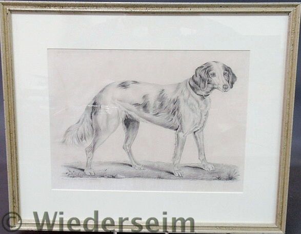 Pencil drawing of a dog "Property