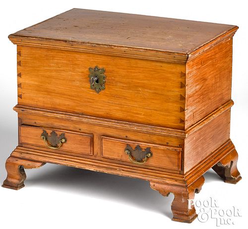 PENNSYLVANIA MINIATURE PINE DOWER