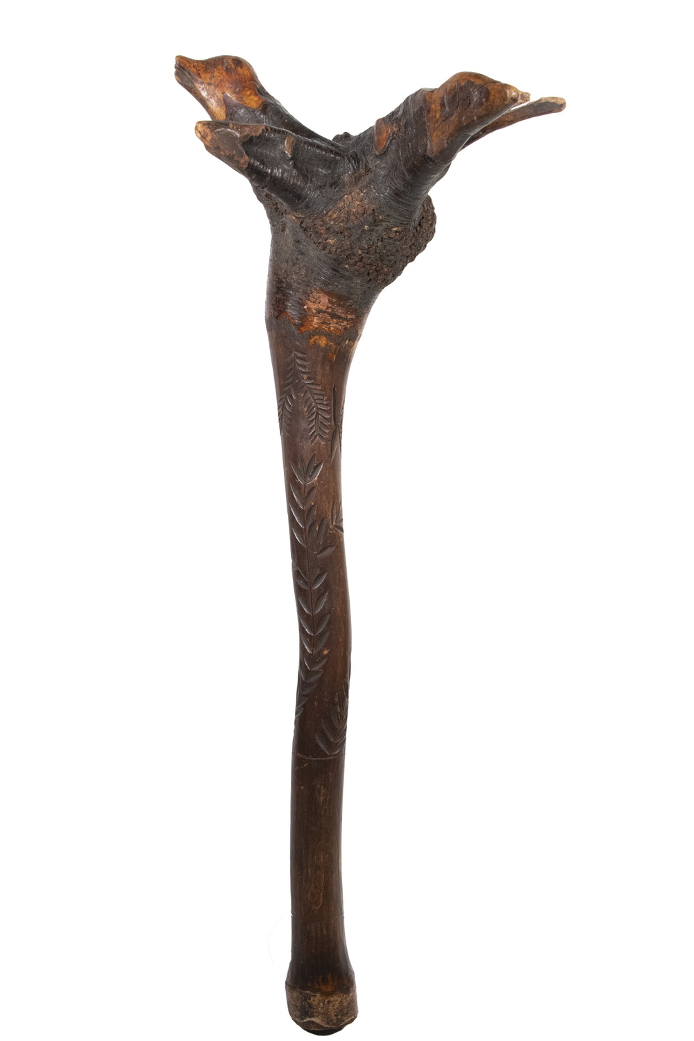 PENOBSCOT BAY BIRCH ROOT WAR CLUB