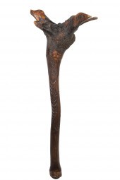 PENOBSCOT BAY BIRCH ROOT WAR C