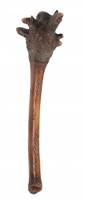 PENOBSCOT BAY BIRCH ROOT WAR C