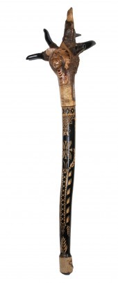 PENOBSCOT BAY BIRCH ROOT WAR C