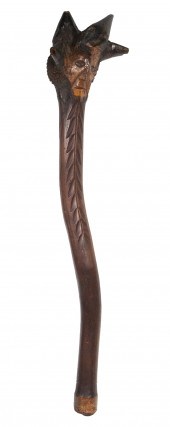 PENOBSCOT BAY BIRCH ROOT WAR C
