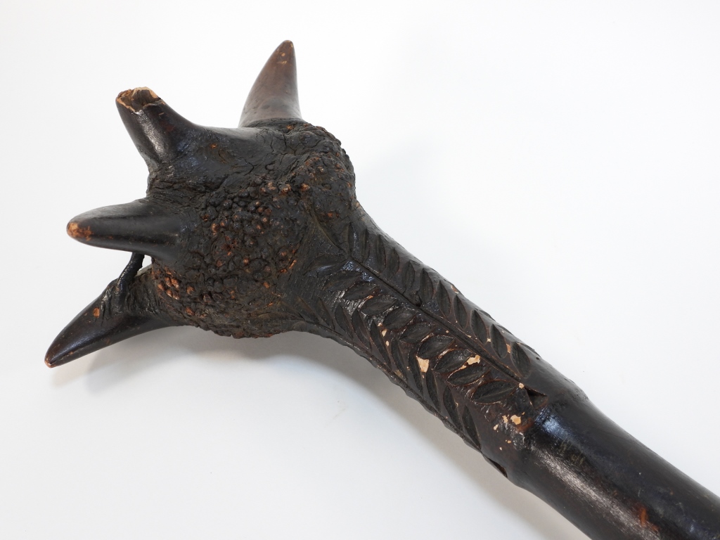 PENOBSCOT NATIVE AMERICAN BALL ROOT