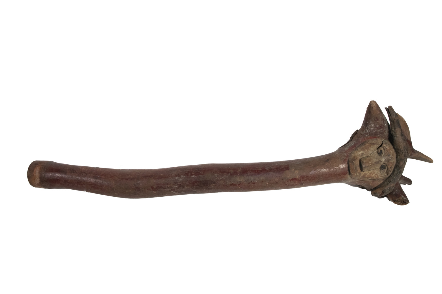 PENOBSCOT ROOT CLUB, LATE 19TH C.