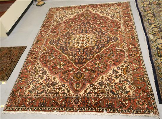Persian Bakhmary  red  cream and