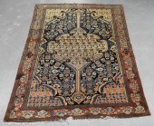 PERSIAN BOTANICAL CARPET RUG M