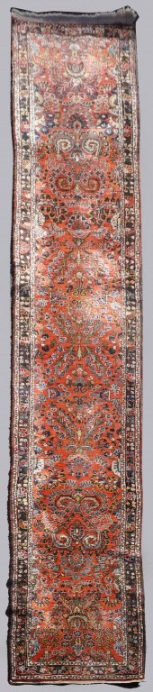 PERSIAN CORAL GROUND RUNNERPER