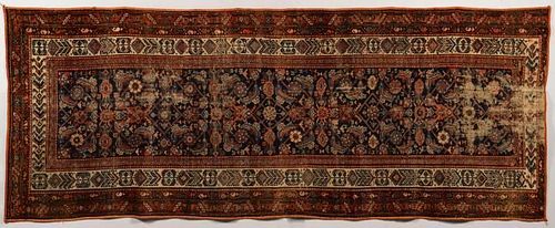 PERSIAN MALAYER RUNNERPersian