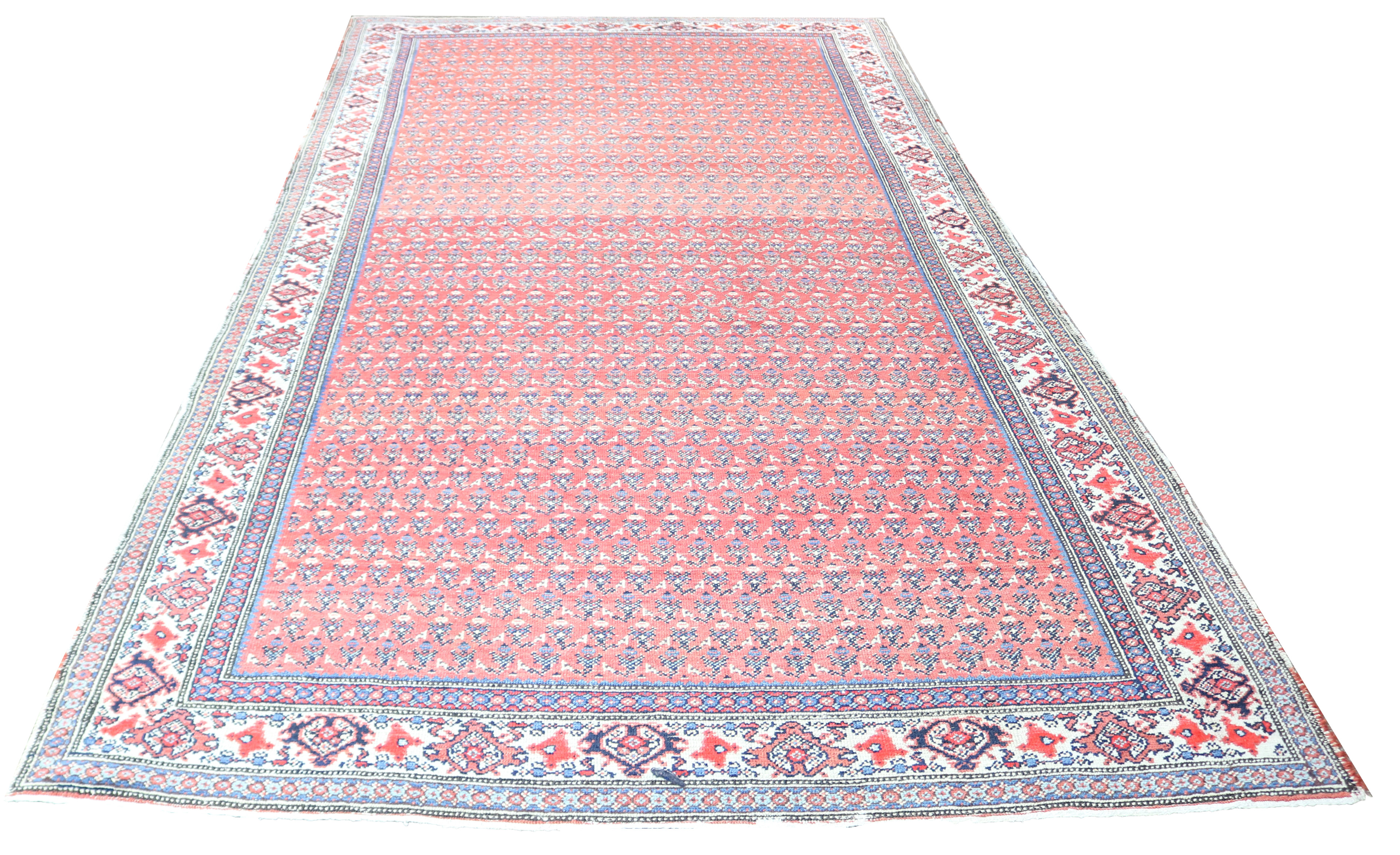 PERSIAN MIR RUNNER Persian Mir