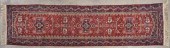 PERSIAN RUNNERA Persian runner