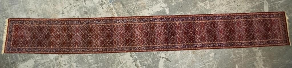 PERSIAN RUNNERPersian runner.
