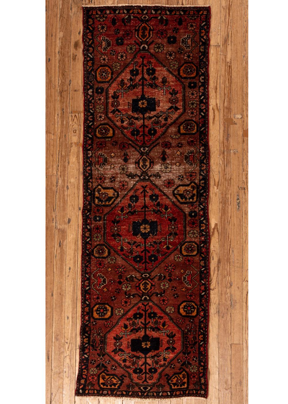 PERSIAN RUNNERPersian Runner,