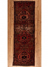 PERSIAN RUNNERPersian Runner,
