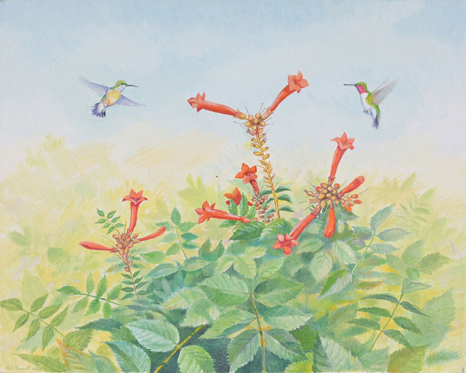 PETER BARRETT (B. 1935)