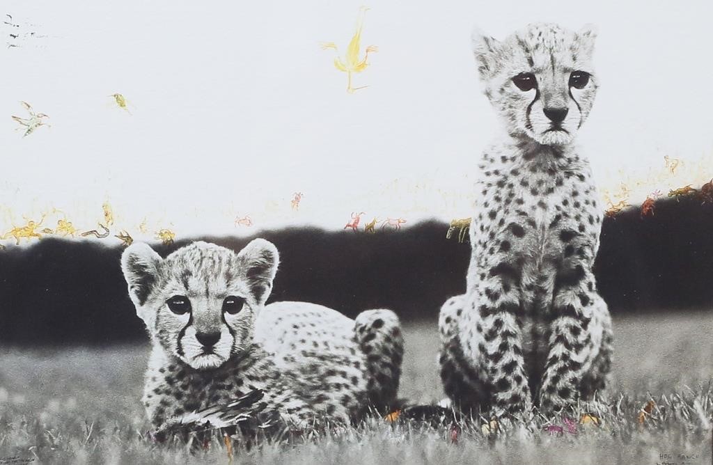 PETER BEARD CHEETAH CUBS, DIGITAL