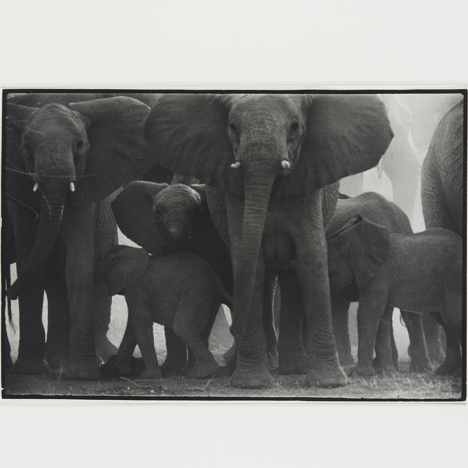 PETER BEARD, FRAMED PHOTOGRAPH,