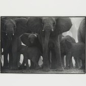 PETER BEARD, FRAMED PHOTOGRAPH